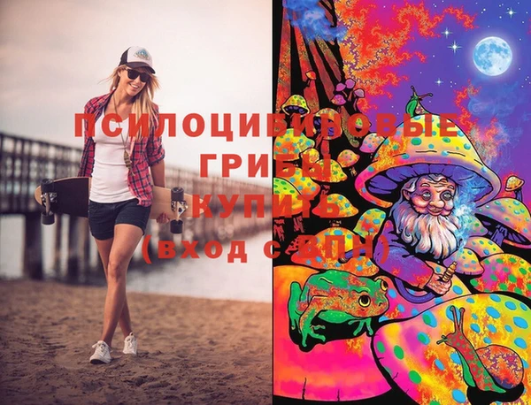 тгк Белокуриха