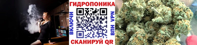 Купить закладки  Осинники  Шишки марихуана сатива 